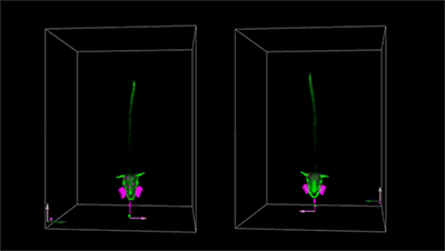 揭开生命微观世界的“时空之门”：科学家实现4D超高速显微成像革命_揭开生命微观世界的“时空之门”：科学家实现4D超高速显微成像革命_